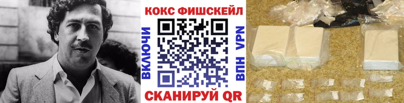 Cocaine Fish Scale где купить наркотик Камышлов